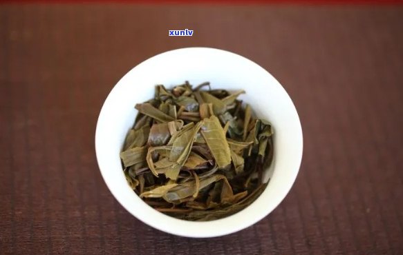 探索蛮砖古树茶：品种特点、 *** 工艺与品饮技巧一文解析