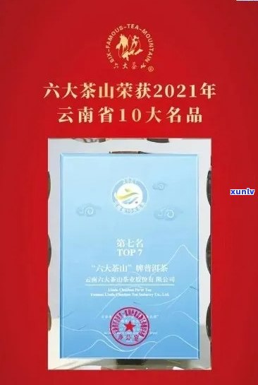 云南远年茶业：传统与创新并存的高品质茶叶领导者