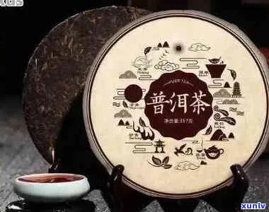 帝泊洱普洱茶价格表与珍品解析：帝泊洱古树普洱茶多少钱一盒？