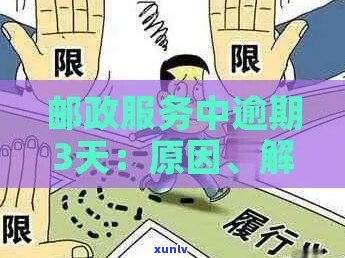 邮政服务中逾期3天的包裹处理方式和解决方案全面解析