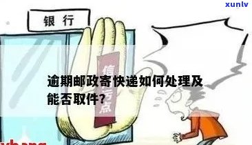 邮政服务中逾期3天的包裹处理方式和解决方案全面解析