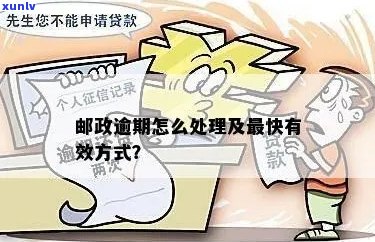 邮政服务中逾期3天的包裹处理方式和解决方案全面解析