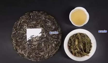 云南古朴普洱茶TOP10:品质、历与文化一网打尽，助你轻松选购心仪好茶