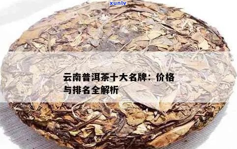 云南古树普洱茶十大名牌：全面了解顶级茶叶及选购指南