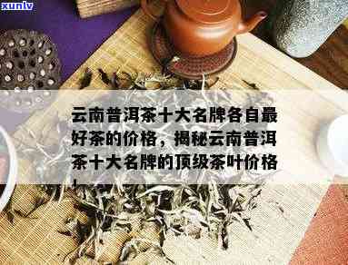 云南古树普洱茶十大名牌：全面了解顶级茶叶及选购指南