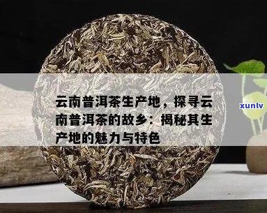 云南普洱茶的魅力：产地、 *** 工艺、口感与功效详解