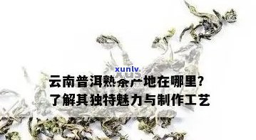 云南普洱茶的魅力：产地、 *** 工艺、口感与功效详解