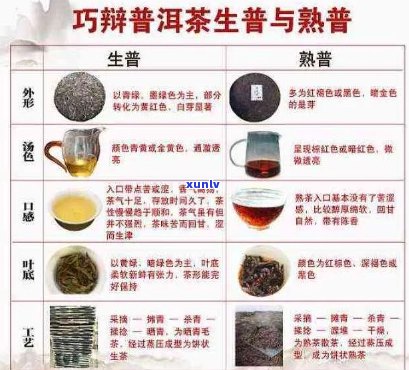 云南普洱茶的魅力：产地、 *** 工艺、口感与功效详解