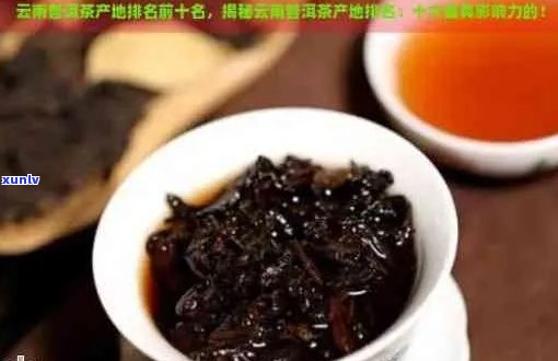 《云南普洱茶：品种、 *** 工艺、品饮 *** 与功效详解》