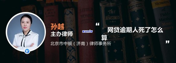 翡翠豆吊坠的寓意、种类、选购及保养 *** 全方位解析