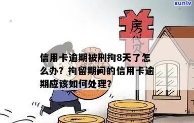 被拘留了信用卡逾期了怎么办：处理措与建议