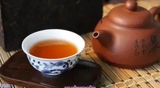 普洱茶用什么紫壶泡？