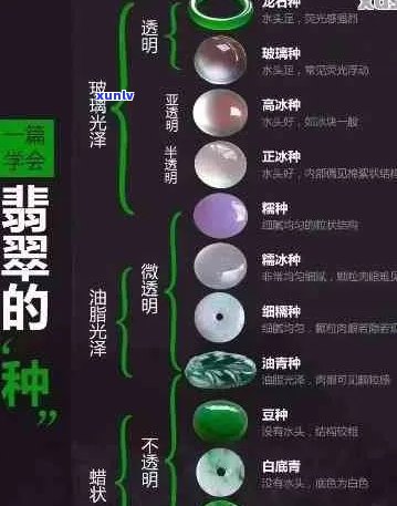 翡翠老坑种与新坑种的区别：深入剖析两种翡翠类型的本质差别