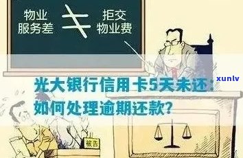 光大信用卡逾期还款的严重影响及应对策略