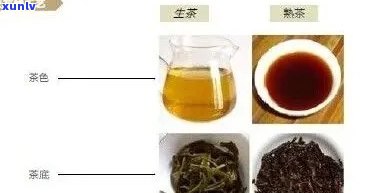 '生普洱茶寒热属性解析：是凉性还是热性？'