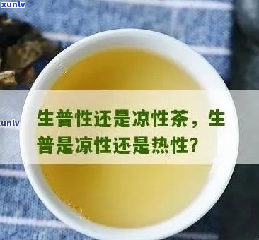 '生普洱茶寒热属性解析：是凉性还是热性？'