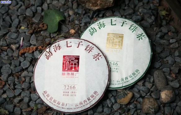 福顺泰1867普洱茶膏：源自百年古树，匠心打造的醇厚口感