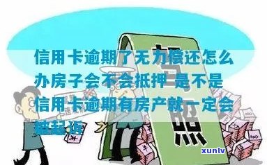 信用卡逾期处置房子吗