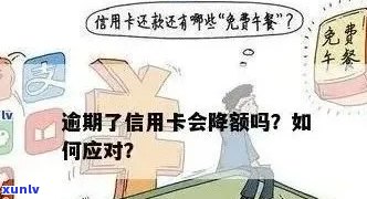 信用卡逾期还款：利息减免政策全面解析与应对策略