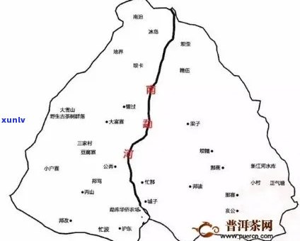 易武茶区最新最火普洱茶：品质、产地、冲泡 *** 等全方位解答