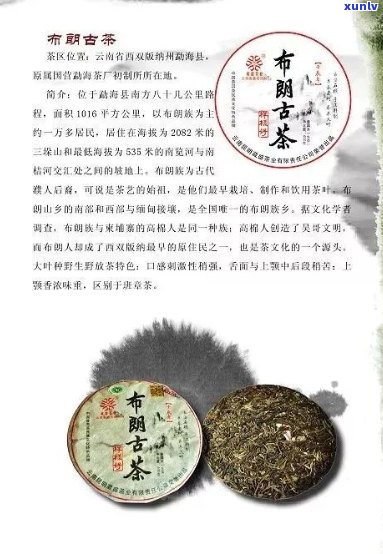 云普洱茶产品简介资料-云普洱茶产品简介资料大全