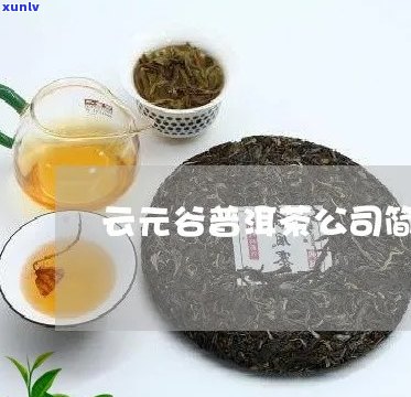 云普洱茶产品简介资料-云普洱茶产品简介资料大全