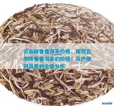 云茶叶普洱茶全方位价格解析：品种、等级、市场行情一应俱全