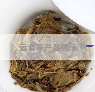 云普洱茶产品简介