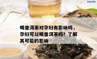 孕期饮茶：普洱茶安全性的探讨及其对胎儿的影响