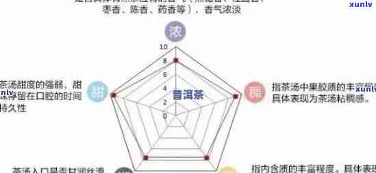 探究易武普洱茶硬度高的科学原理与品饮价值