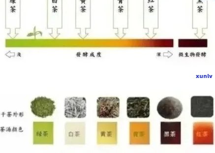 普洱茶的六色味道是什么？