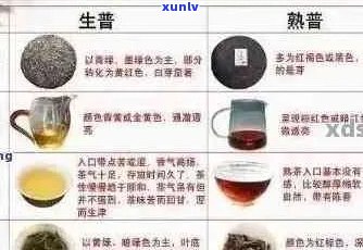 普洱茶的六色之谜：揭示每种颜色的独特含义与品鉴技巧