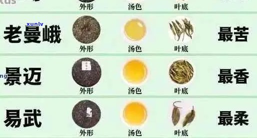 普洱茶的六色之谜：揭示每种颜色的独特含义与品鉴技巧