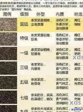 普洱茶的六色之谜：揭示每种颜色的独特含义与品鉴技巧