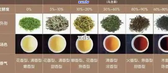 普洱茶的六色之谜：揭示每种颜色的独特含义与品鉴技巧