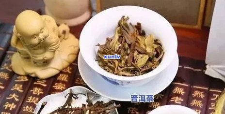 普洱茶里有虫子怎么办：喝之前必须仔细检查！