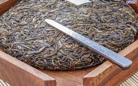 普洱茶虫眼：质量标志还是健隐患？