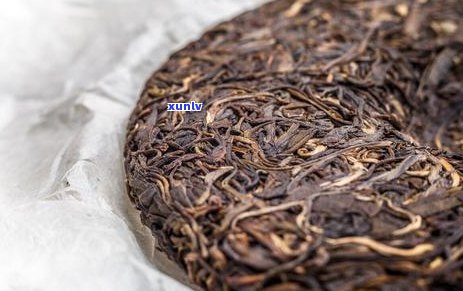 普洱茶虫眼：质量标志还是健隐患？