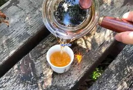 普洱茶与同煮的兼容性：如何确保口感和健效果？