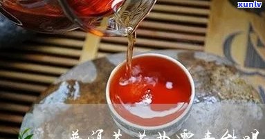 黄曲霉素遇上普洱茶