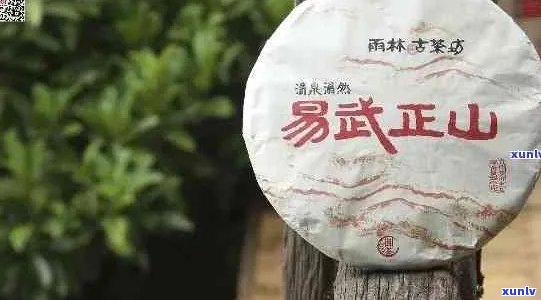 云南易武正山普洱茶：古树茶的翡翠，品茗与收藏的绝佳之选