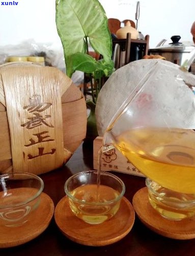 云南易武正山普洱茶：古树茶的翡翠，品茗与收藏的绝佳之选