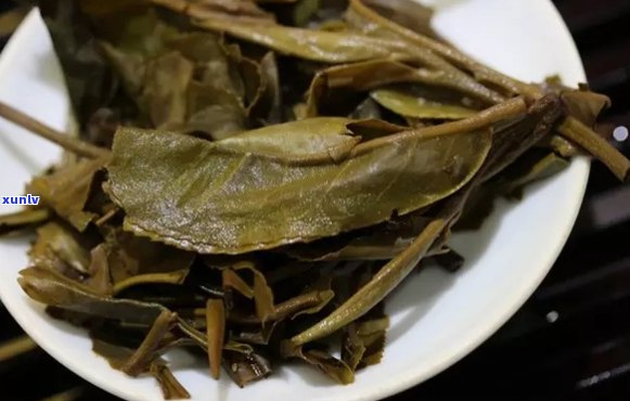 云南易武正山普洱茶：古树茶的翡翠，品茗与收藏的绝佳之选