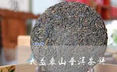 大益红象山普洱茶饼：古树茶韵，醇厚口感，收藏珍品