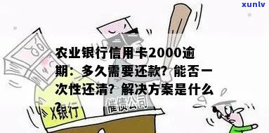 农行信用卡逾期2000元：处理 *** 、后果及补救措