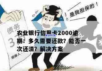 农行信用卡逾期还款2000元后果详解：如何避免信用损失及利息计算 *** 