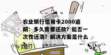 农行信用卡逾期还款2000元后果详解：如何避免信用损失及利息计算 *** 