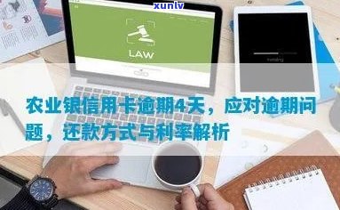 农业信用卡逾期两年还款金额及处理方式全面解析