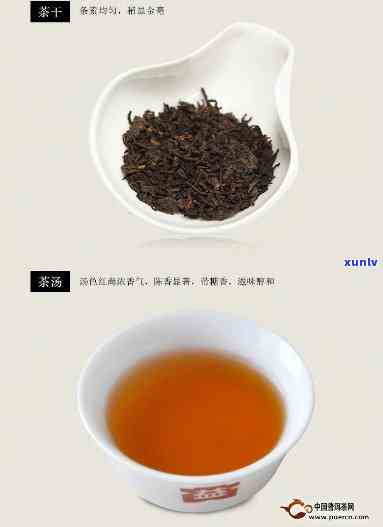 普洱茶v93是什么意思？这款普洱茶怎么样呢？