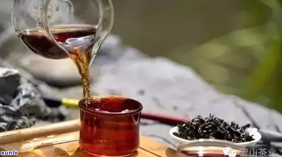 泡普洱茶可以翻底吗？为什么？普洱茶能泡，可以直接用水泡着喝吗？